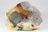 Purple Edge Fluorite Crystal Cluster - Qinglong Mine, China #186900-2
